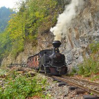 Steam Train(@ro_trains) 's Twitter Profile Photo