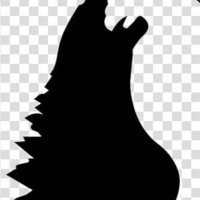 Madmax 07 (@madmax0714) 's Twitter Profile