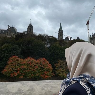 Turkish Canadian 🇹🇷🇬🇪🇨🇦Dert dolu küfesini boşaltacağı durağı bekleyen seyyah..
