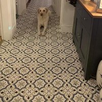 Darby Carpets & Flooring.(@DarbyCarpets) 's Twitter Profileg