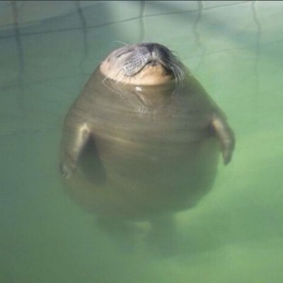 lilshavii's profile picture. Ahora soy una cuenta candado 👍🏿