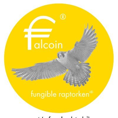 Crypto backed by trained arabian hunting falcons. We provide large commercial entities and Sovereign funds with falcons, falcon-backed securities & Falcon NFTs.