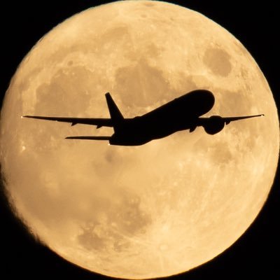 日本写真芸術専門学校を2021年の3月に卒業。 現在、写真スタジオに勤務をしつつ、フリーで写真作家として活動しています。2022年春に2冊の写真集を出版。 Instagram… @sharp_fukuda DMにて仕事依頼受付中。(ポートレート・商品撮影等) 赤黒の血が流れてます笑