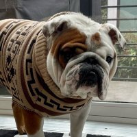 Winston (@winstonk2021) 's Twitter Profile