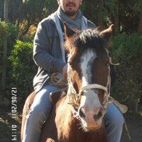 JOEL ARMANDO PAVEZ P (@joelpavez) 's Twitter Profile