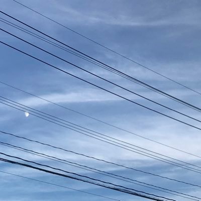 C5vVZMNJ7TCDfC7's profile picture. 🐙