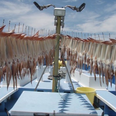 東京湾ライトアジ研究会に入ってます🐟ライトアジ🐟スルメ&ヤリ🦑、新潟乗っ込みマダイ🐟東北&関東ヒラメ🐟がターゲット🎯最近シマアジ始めました😆船釣り好きでフィールドでお会いした際にはよろしくお願いします🙇🏻♂️