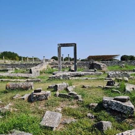 Torben60196873's profile picture. 