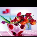 Melody Arnold - @MelodyArnold - Twitter