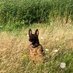 Rens van Groningen (@rensevgroningen) Twitter profile photo Rens van Groningen (@rensevgroningen) Twitter profile photo