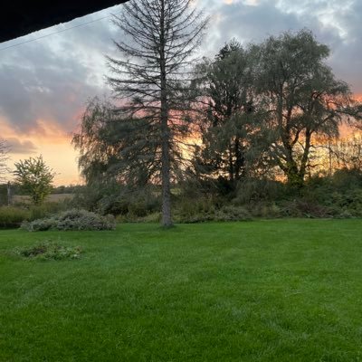 infligh59595944's profile picture. Commercial Pilot ME Advocate for those suffering in silence.