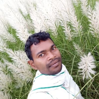 BoipaiDevanand's profile picture. 