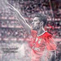 Alex_inho 🇵🇹 (@xbenfiquista_8x) 's Twitter Profile