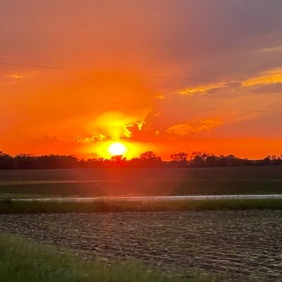 TiktokTesla's profile picture. Husband and Father. Tesla Investor. Iowa Hawkeyes. Chicago sports fan.