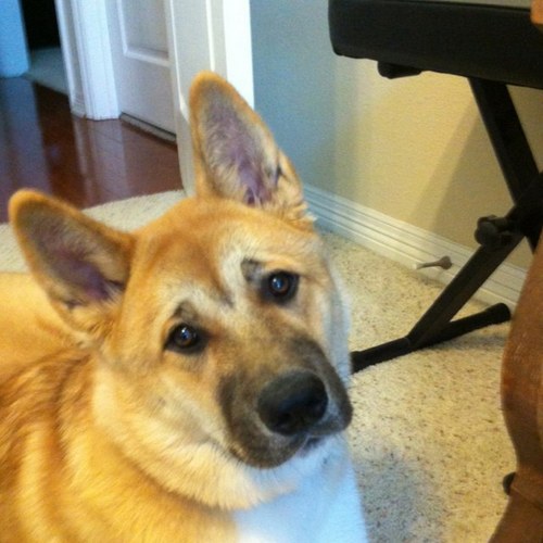 iswannie's profile picture. 