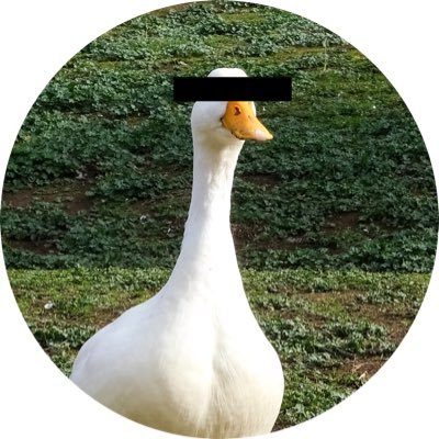 sadgoosecoop Profile Picture