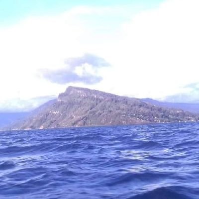 Wege26841476's profile picture. 