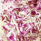 だだだ (@ar36dhqumpu2o4d) 's Twitter Profile