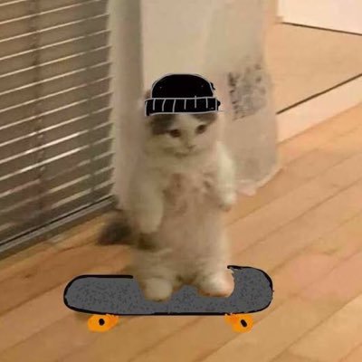 kucingorendiff's profile picture. 