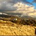 Santiago_Mercadal (@mercadal_santi) Twitter profile photo Santiago_Mercadal (@mercadal_santi) Twitter profile photo