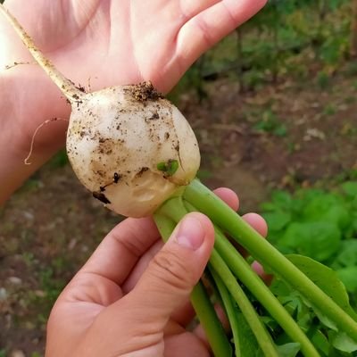 どこにでもいる主婦です。
縄跳びしたり、自宅で小さな畑をやったり、子どもたちとのびのび過ごしたくて少し都心から離れたところで暮らしています。運動と睡眠と食事が大好きな平成４年産まれ。２児の母。