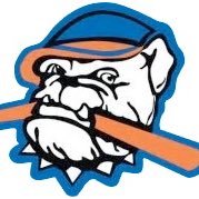 Motor City Hit Dogs 13u National (@hitdogs13u) 's Twitter Profile