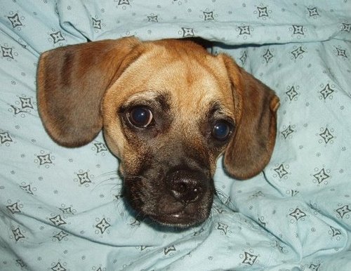 davidadamkelly's profile picture. im a lover...and a sentiMentalist.. i am a foodie...a musician.. and a human being.. teach English to children in Rome. i play the drums.. all types and styles