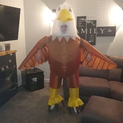 Paulod67's profile picture. 