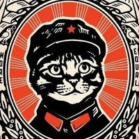 Miau da Resistência e da Luta 🇷🇺🇵🇸🇸🇾🇯🇵(@ViniciusN1kolod) 's Twitter Profile Photo