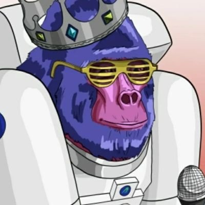 algodears's profile picture. algorand or nothing