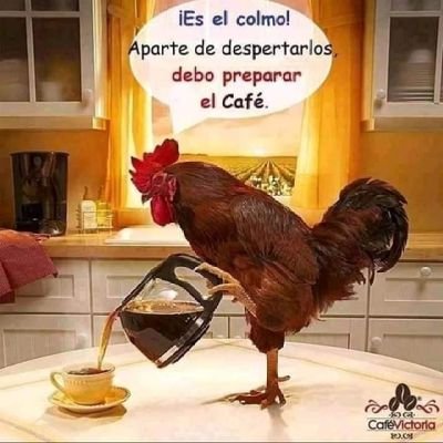 soy buena onda alegre trabajador 😸