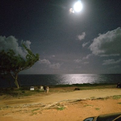 walissoaquiles's profile picture. V