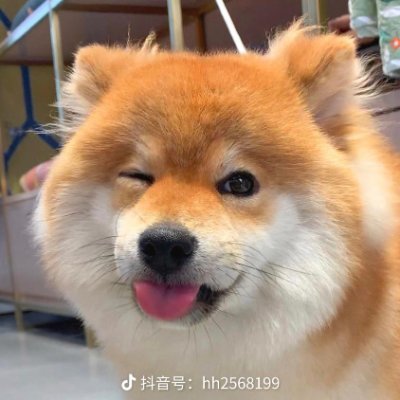 Ug10433200's profile picture. 