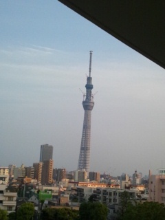 海like ,fashion like,- Boxing like,散歩like, live-like、海外ドラマlike,love ＆peace