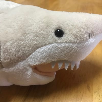 鯖ワニ🦈さんのプロフィール画像