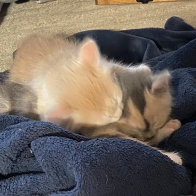 myrighttit1's profile picture. 