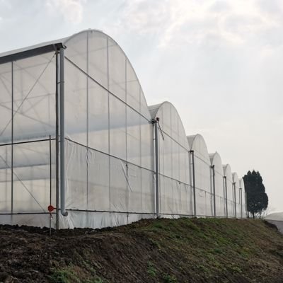 We are #greenhouse manufacturer from China