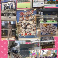 フーピーライオンズファン (@fu_pi_013) 's Twitter Profile
