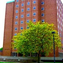 MacHall Windsor - @MacHallWindsor - Twitter