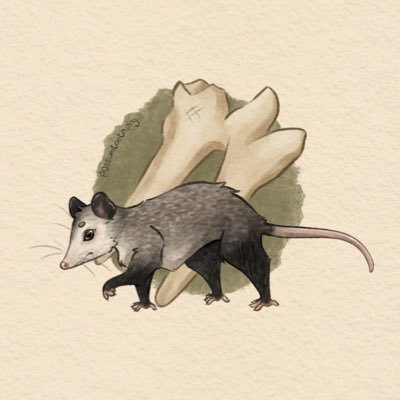 milo / possumさんのプロフィール画像