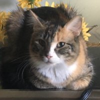 Mart (@mart55256366) 's Twitter Profile