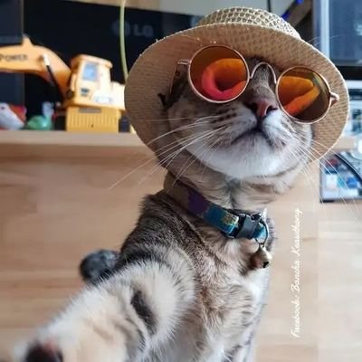 VazaV0910's profile picture. 