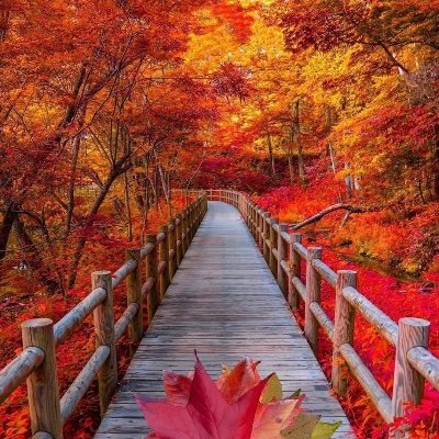 Bbi11858739's profile picture. 