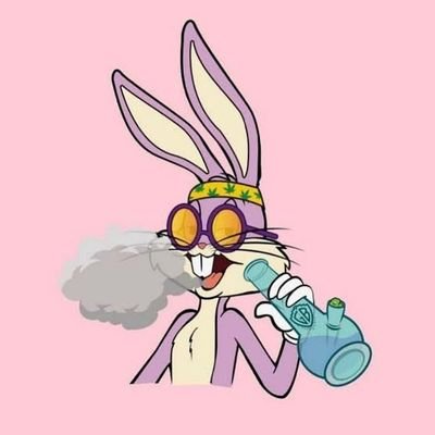 M27/smoking rabbit/single/say no to drugs 🐰