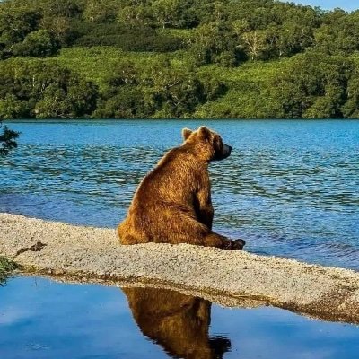 jtc75_jotchel's profile picture. 