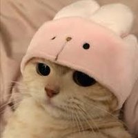 le cat (@elgat1to) 's Twitter Profile