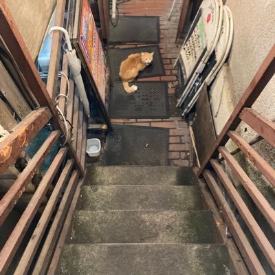 ふうぱぱのアイコン