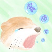 「宵闇雪花」るみゃじゅう (@_rumya) 's Twitter Profile