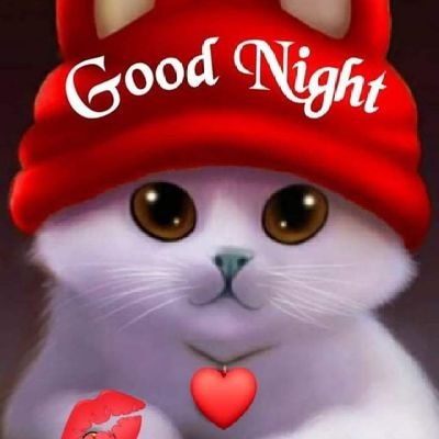 Binod08452263's profile picture. Love 💘