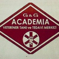 gg academia(@ggacademia) 's Twitter Profile Photo